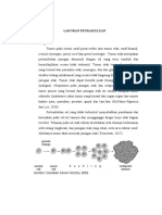 LP Tumor Otak