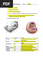 Review For Test - Biology Use This One - Answer Key