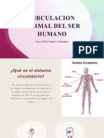 Circulacion Normal Del Ser Humano