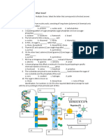 Dna Structure and Chemistry