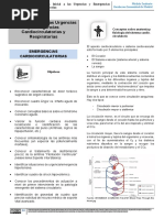 Atencion Inicial A Las Urgencias y Emergencias Circulatorias, Respiratorias, Neurologicas y Psiquiatricas. Neonatos y Accidentes Multiples Victimas