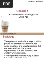 An Introduction To Sociology in The Global Age