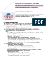 Capítulo 7. Agenesia Del Cuerpo Calloso. Neuropsicología Del Desarrollo