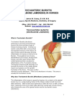 Trochanteric Bursitis - Whorlbone Lameness