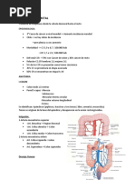 7 Cancer Colon