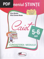 Domeniul Stiinte - Cunoasterea Mediului - 5-6 Ani - Alice Nichita, Alina Carmen Bozon