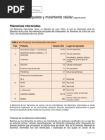 07.filamentos Intermedios - Cooper