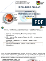 Unidad 3. Membranas Biologicas Oculares Retinal