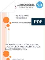 Geoquímica Isotópica - Sedimentos Marinhos