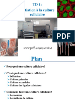 TD1 Initiation A La Culture Cellulaire