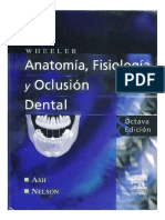 Anatomía, Fisiología y Oclusión Dental de Wheeler 8° Edición