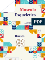 Musculo Esqueletico