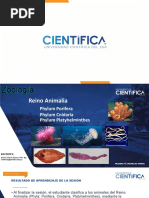 Clase2 Platyhelminthes UCSUR