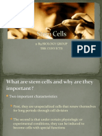 Stem Cells Project