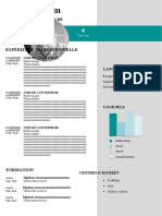 88 Modele CV Controleur de Gestion