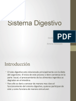 Sistema Digestivo Com-2