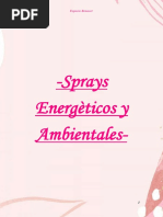 2 - Spray Energeticos y Ambientales