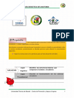 Guia Numero 3 Anatomia NG