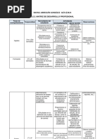 2.2.3. Matriz de Desarrollo Profesional