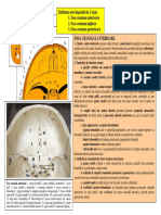 LP1 Sem2 Burcin PDF