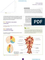Territorios Vasculares Cerebrales