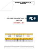 Programa de Seguridad y Salud Ocupaciona