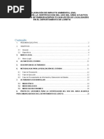 Declaración de Impacto Ambiental