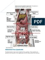 Abdominal Four Quadrants: Abdominal Nine Divisions (A) and Quadrant Regions (B) : The Abdomen Is