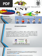 Analisis de Mercado (ROJAS)