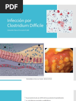 Infección Por Clostridium Difficile