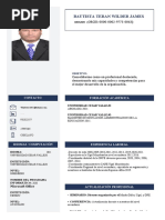 Curriculum Vitae - WILDER JAMES BAUTISTA TERAN