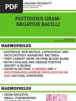 Fastidious Gram-Negative Bacilli