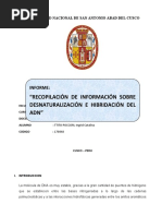 INFORME DE GENETICA Sobre Desnaturaizacion e hibridacionNNN