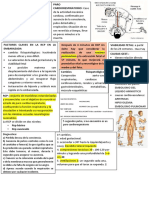 RCP Gestante