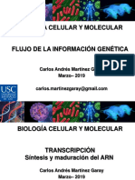 Flujo de La Información Genética