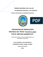 Tesis Obtencion de Hidrolizado Proteico de Pota Dosidicus Gigas Por El Metodo Enzimatico