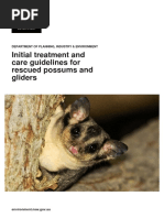 Initial Treatment and Care Guidelines For Rescued Possums and Gliders