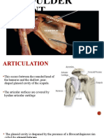 Shoulder Joint