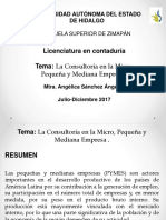 La Consultoria en La Micro Pequena y Mediana Empresa