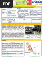 5° Sec. Exp. 5 Actividad 2