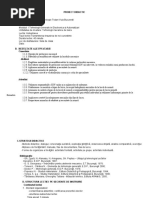 Proiect Didactic m2 Indreptarea Clasa A IX A