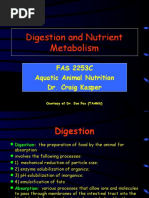 Digestion and Nutrient Metabolism: FAS 2253C Aquatic Animal Nutrition Dr. Craig Kasper