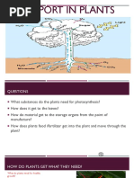 Lesson 17 - Transport in Plants