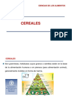 Clases Cereales