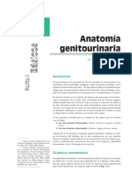 Anatomia Genitourinaria