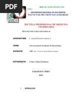 ParasitologiaII Practica