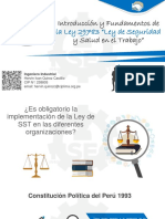 HSEQ-Introducción y Fundamentos de La Ley 29783-SST