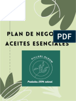 Elaboracion Del Plan de Negocios Aceites Esenciales Killari Oleum