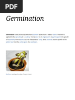 Germination - Wikipedia