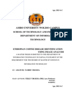 Final Thesis On ETHIOPIAN COFFEE DISEASE IDENTIFICATION USING IMAGE ANALYSIS Amanuel Tamiru